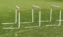 Adjustable Training Hurdle - Senior