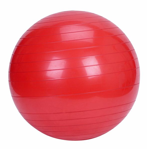 Gym Fitness Ball 55cm Diameter - Core Strength