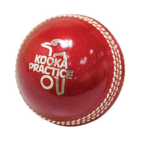 Kookaburra 2pc Practice 156gm Cricket Ball