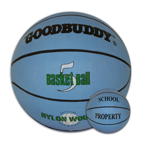 Basketball School Property - Size 5