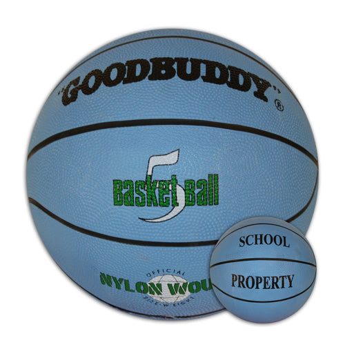 Basketball School Property - Size 5